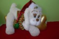 /album/fotogaleria-navidad/a100-0698-jpg/